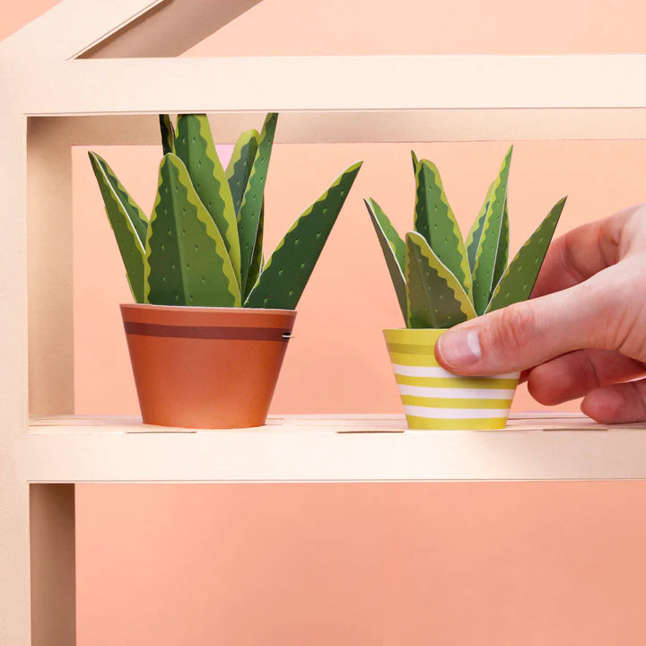 Make Your Own Healing Aloe Vera Paper Plant Kit