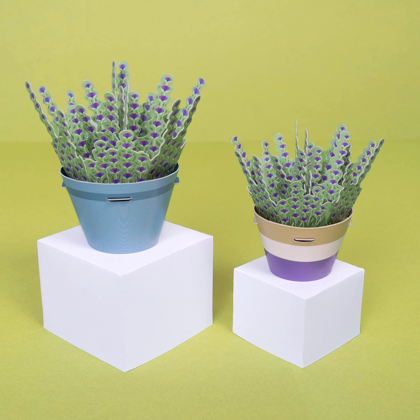 Make Your Own Calming Lavender Paper Plant Kit