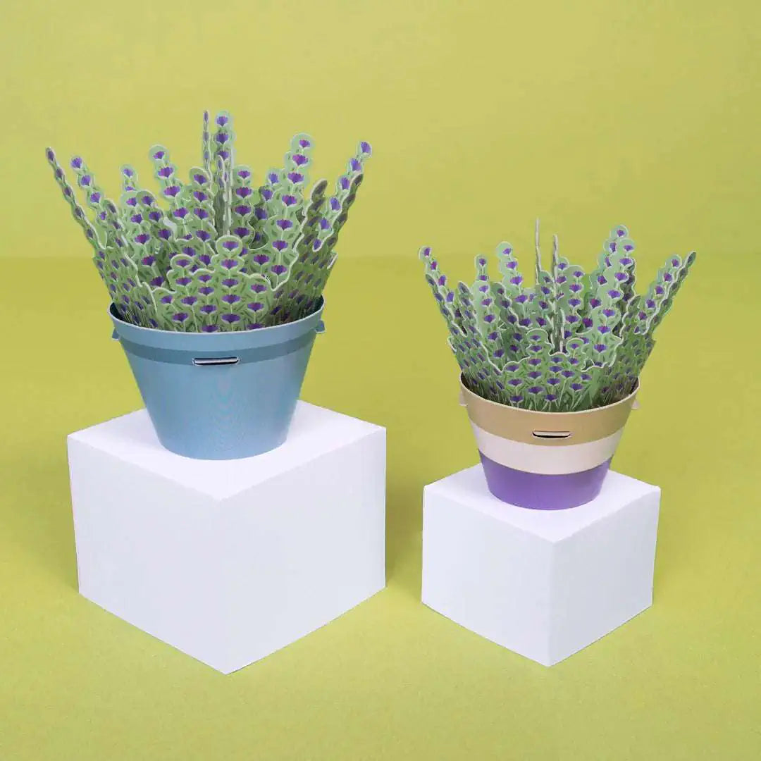 Make Your Own Lavender Paper Plant Kit
