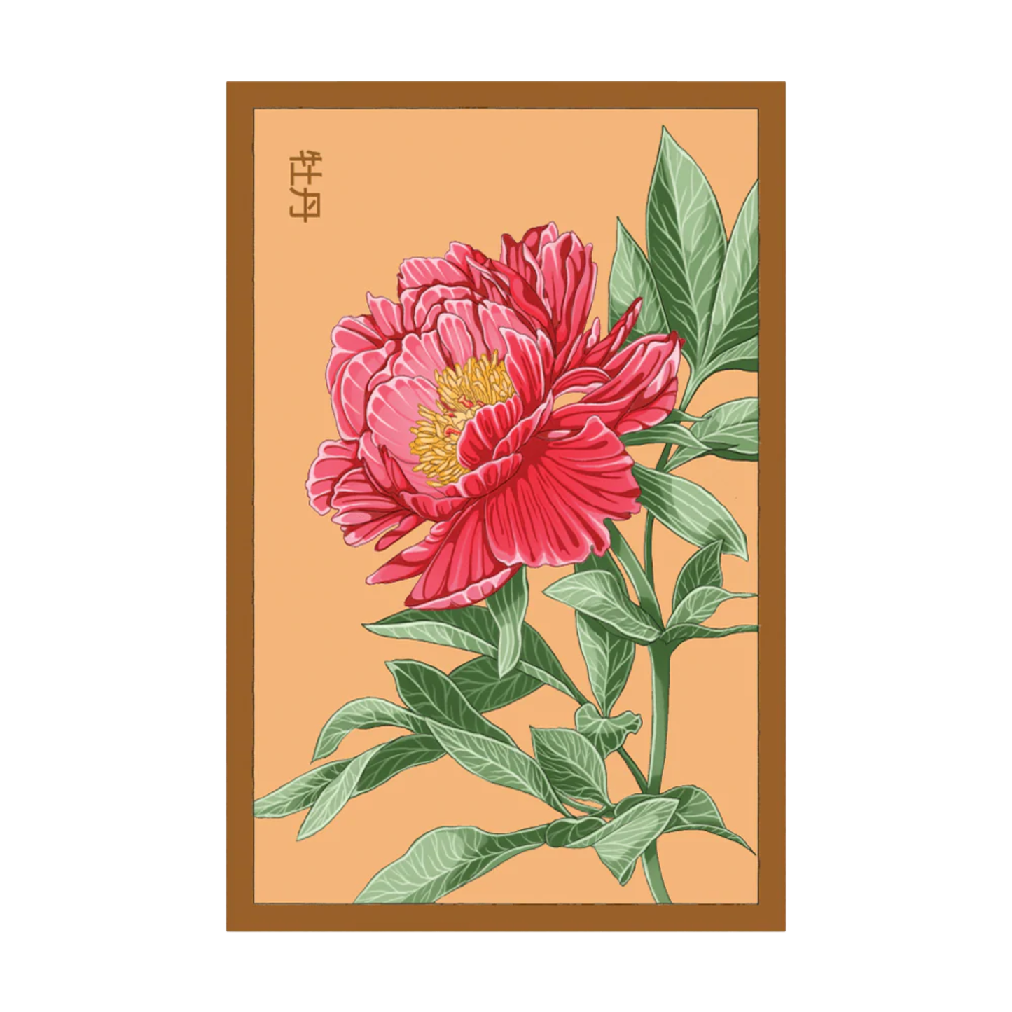 Peony Flower Seeds Packet
