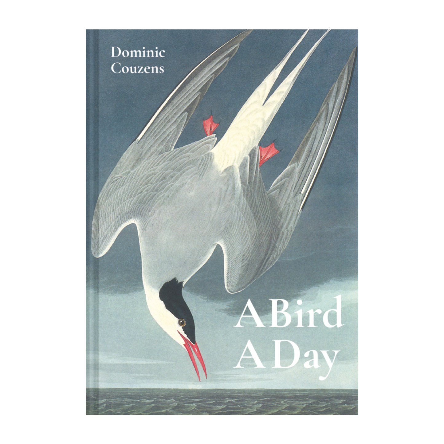 A Bird a Day