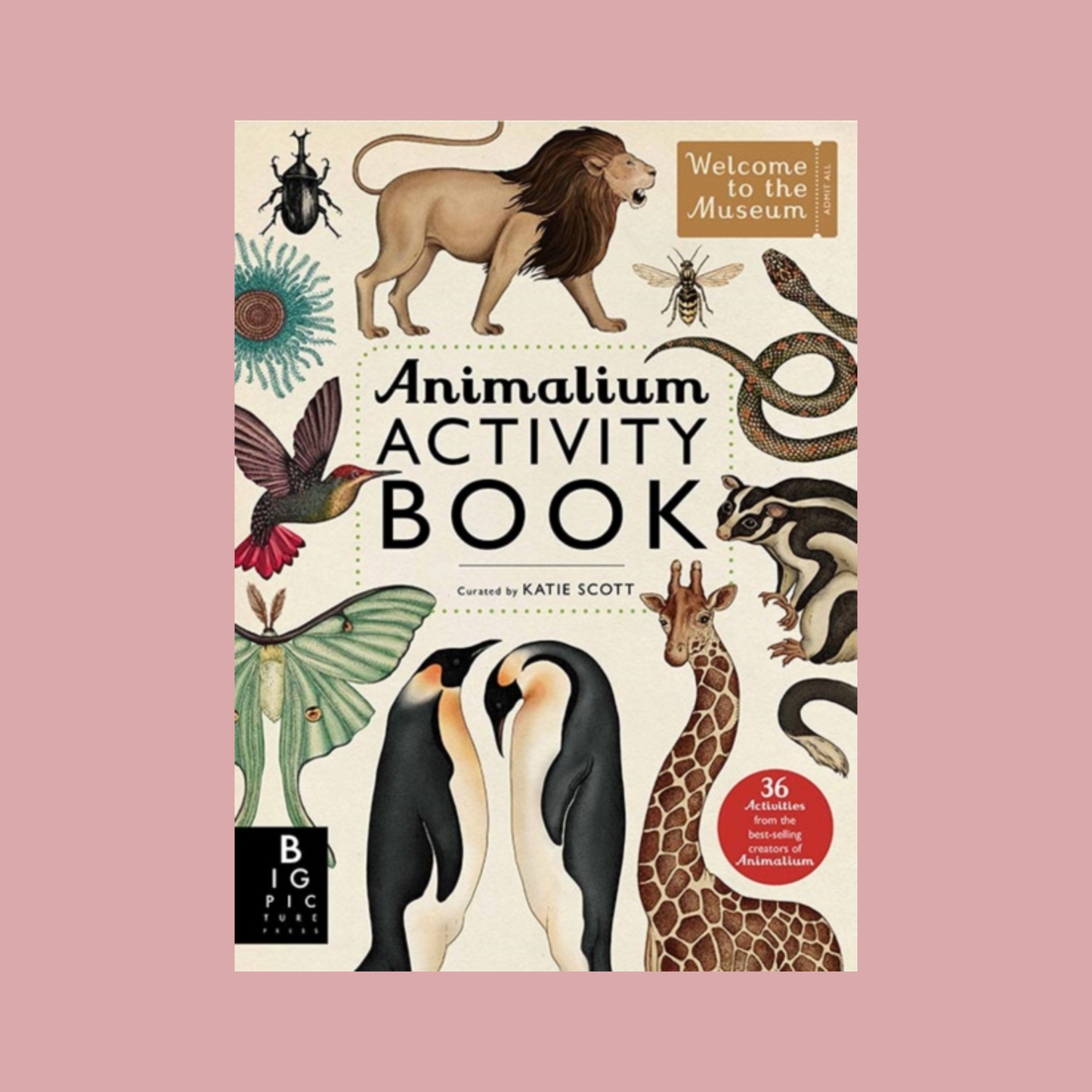 Cover of 'Animalium Activity Book' with illustrations of animals on a pink background