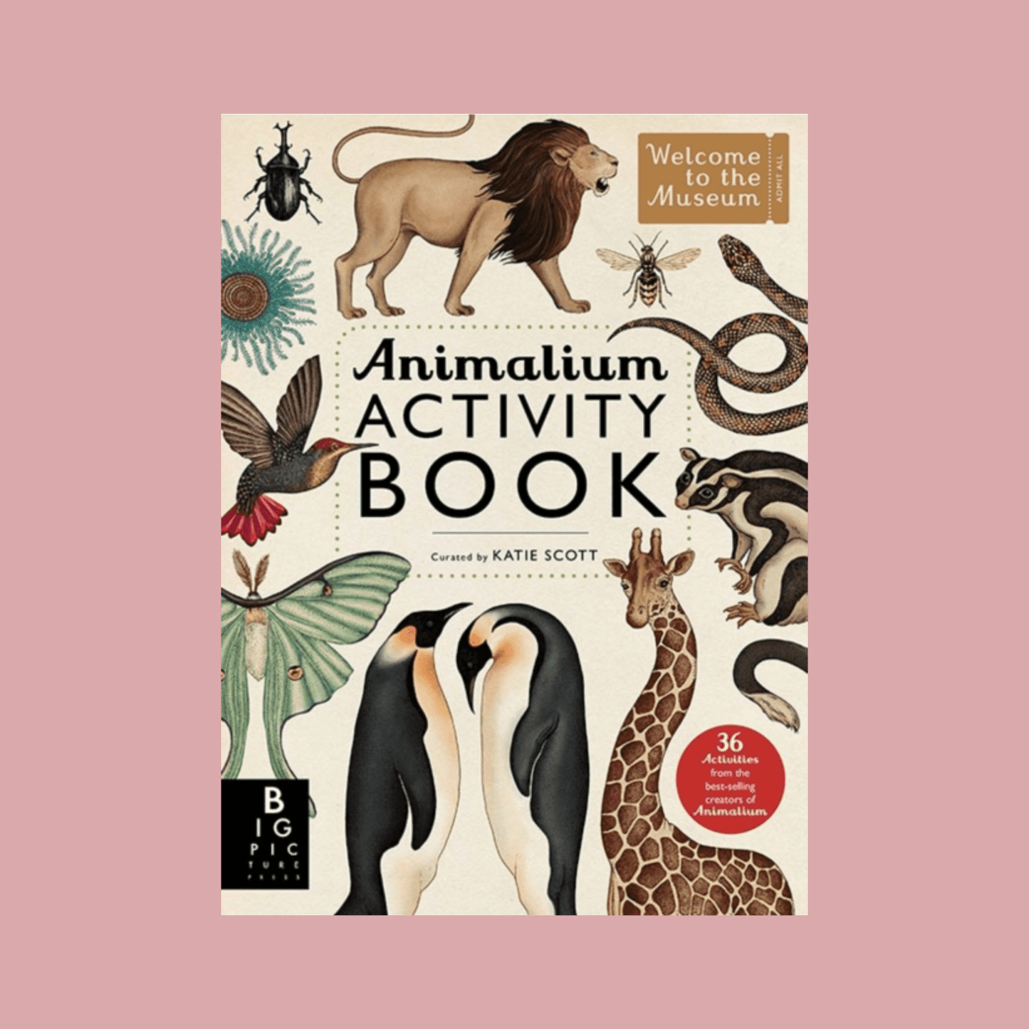 Cover of 'Animalium Activity Book' with illustrations of animals on a pink background