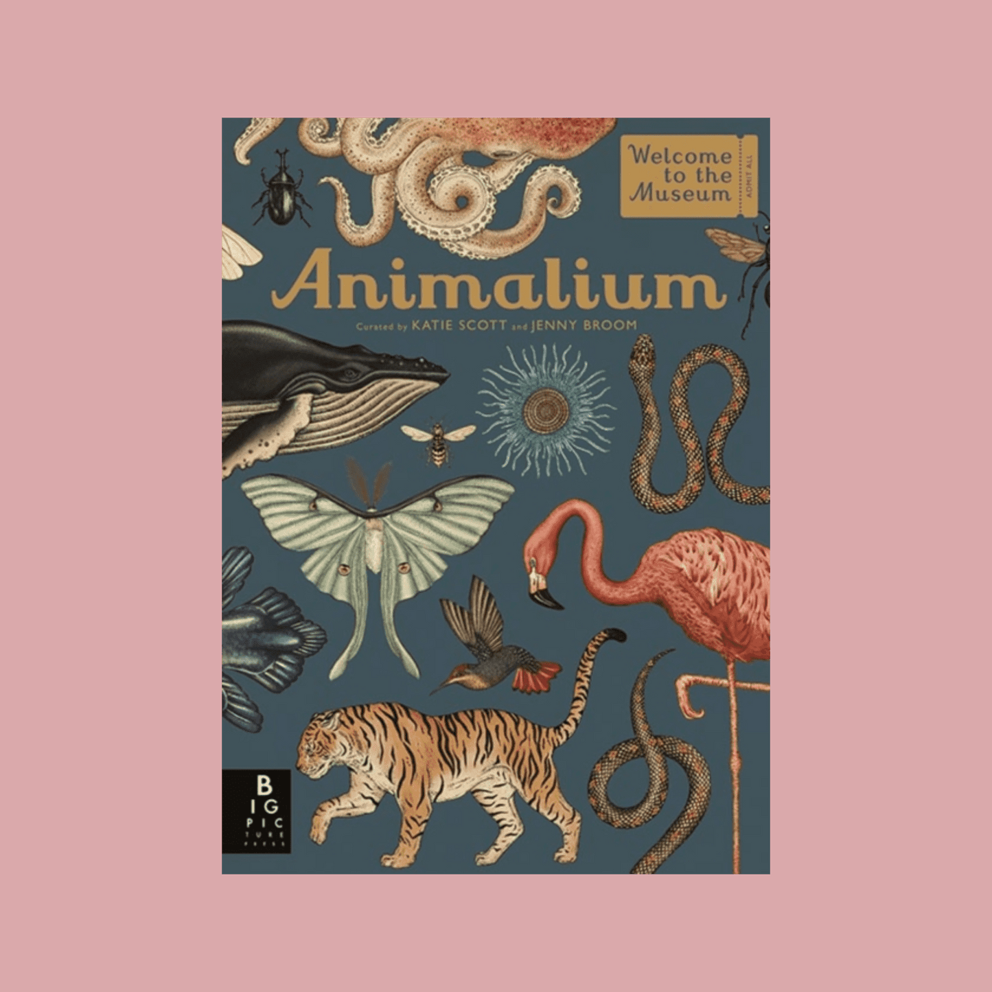 Book cover of 'Animalium' with illustrations of animals on a pink background