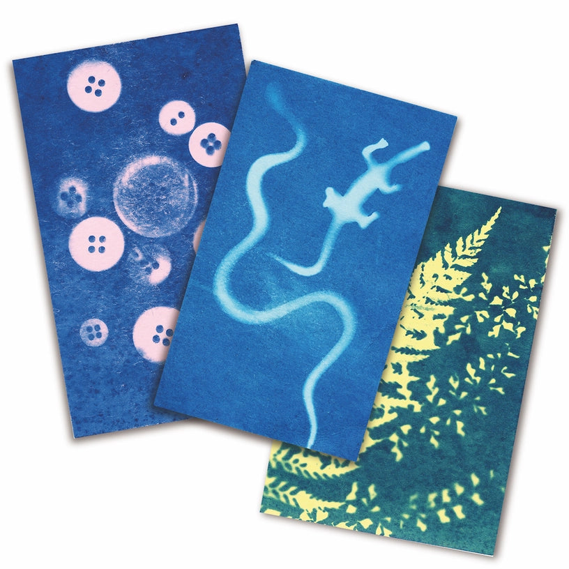 Sunography Colour Cards