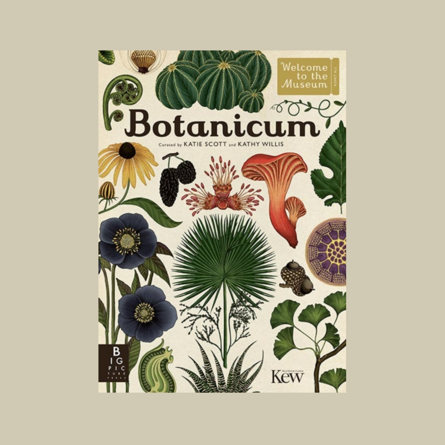 Book cover of 'Botanicum' with botanical illustrations on a beige background
