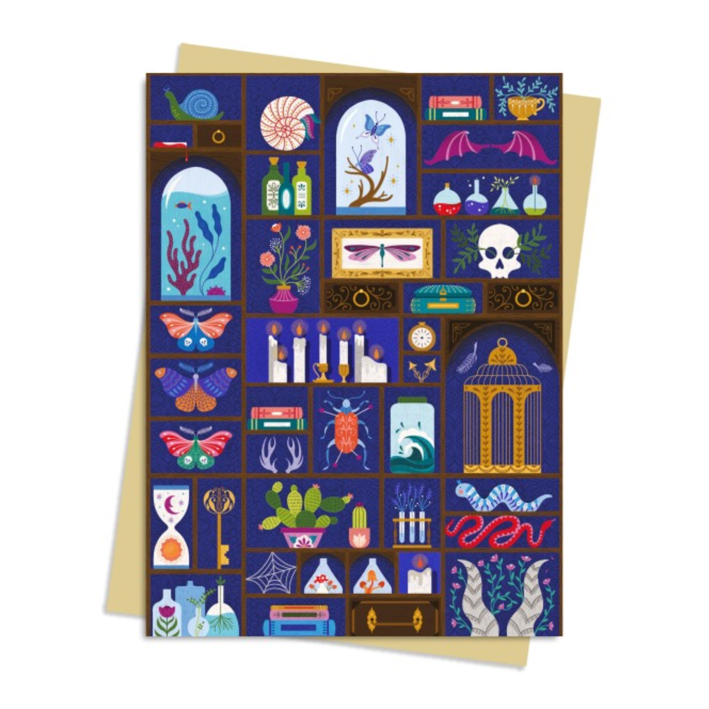 A Cabinet of Curiosities Greetings Card