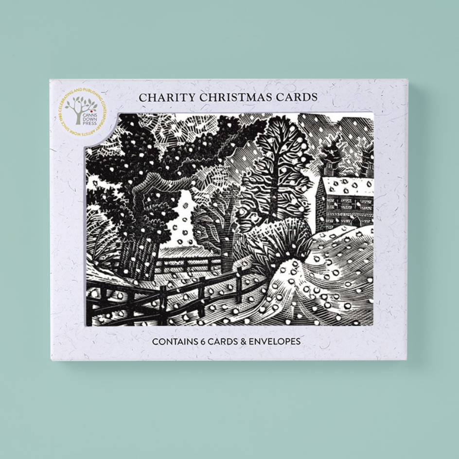 A boxed card set labeled 'Charity Christmas Cards' with a black-and-white winter landscape illustration on the front, shown against a pale mint background. The box text says it contains 6 cards and envelopes.