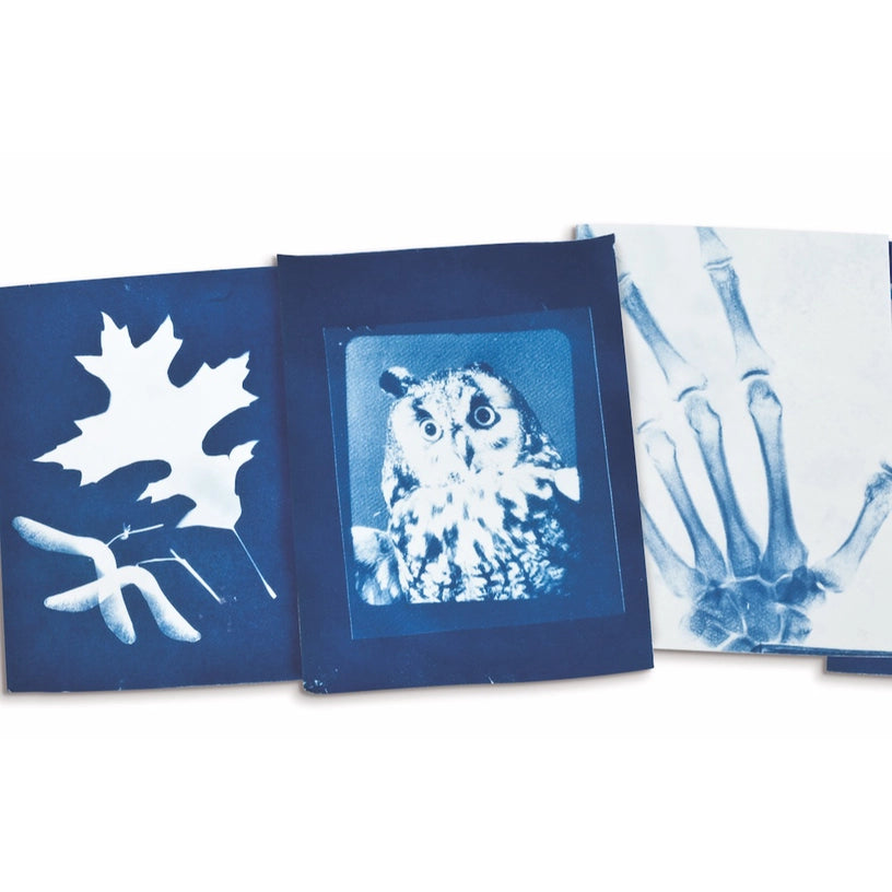 Image of three cyanotypes produced by the sunography kit on a white background