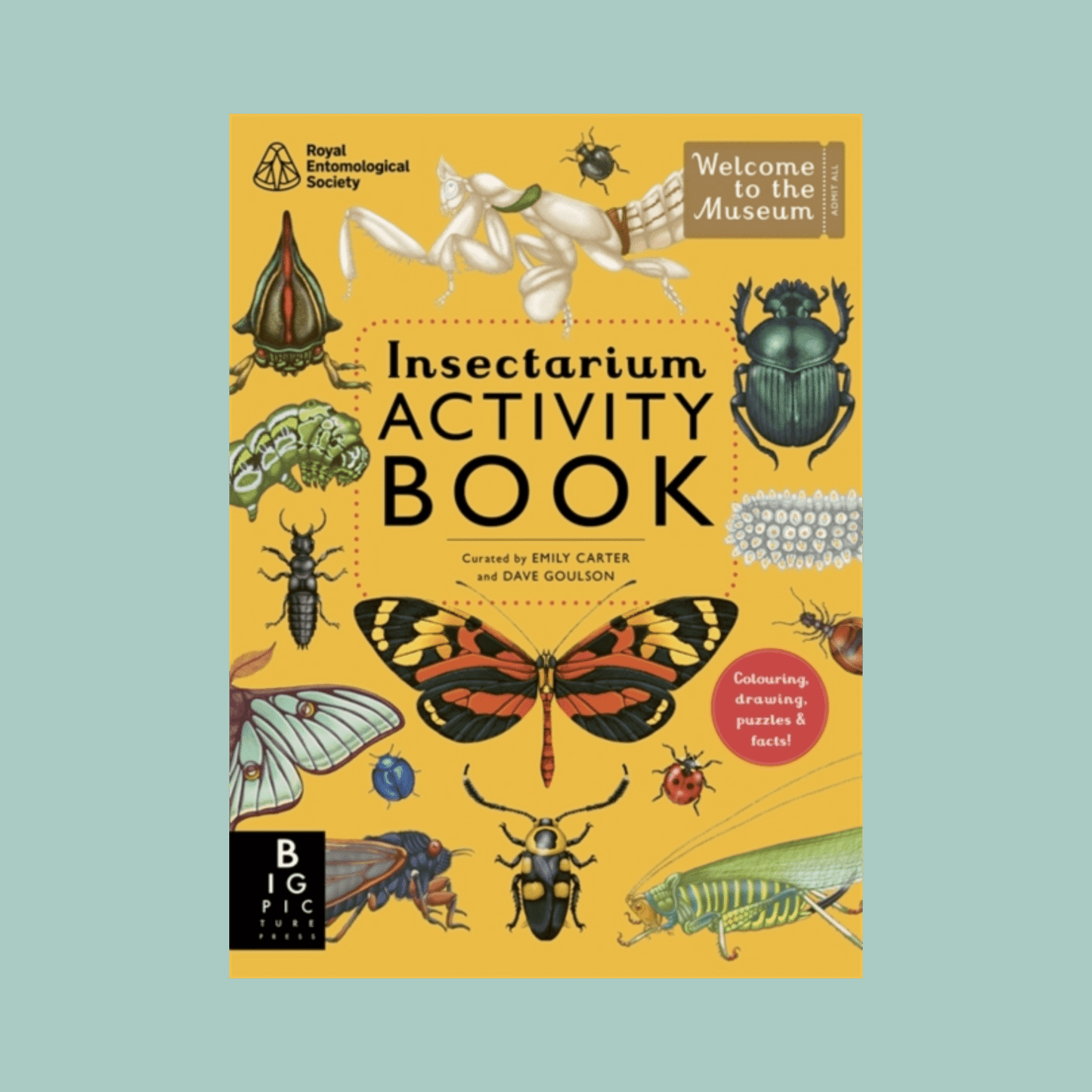 Insectarium Activity Book cover with illustrations of insects on a yellow background