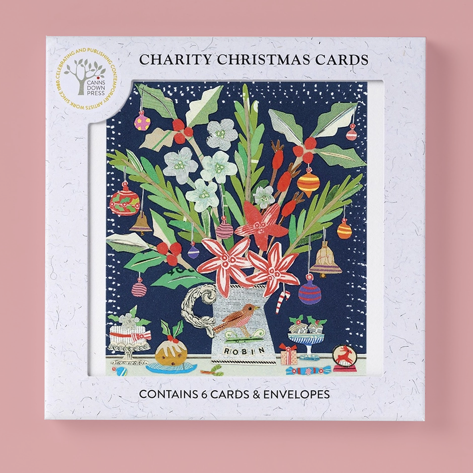 A boxed set of charity Christmas cards from Canns Down Press, featuring a white textured outer box with an illustrated festive floral and holiday scene on the front. The box is centered on a soft pink background, with text reading 'CHARITY CHRISTMAS CARDS' and 'CONTAINS 6 CARDS & ENVELOPES'.