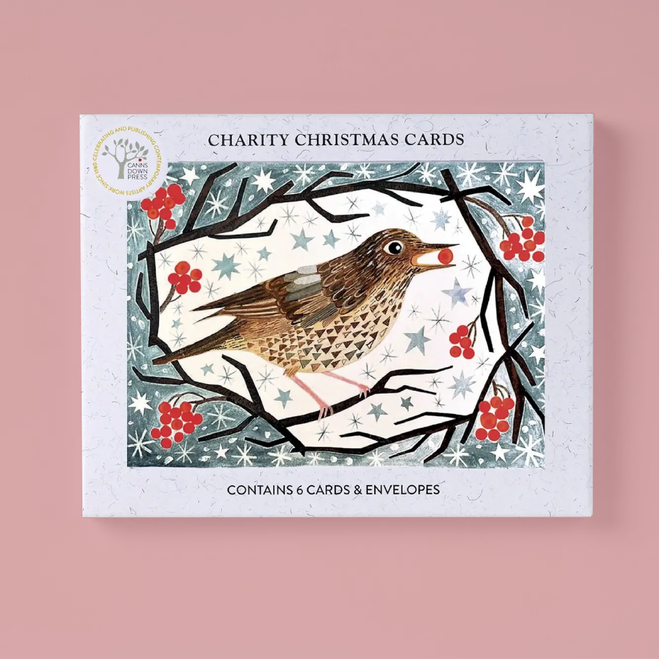 A boxed card set titled 'Charity Christmas Cards' featuring an illustrated bird perched on a branch with red berries and snowflakes on a white background, shown against a dusty pink backdrop.
