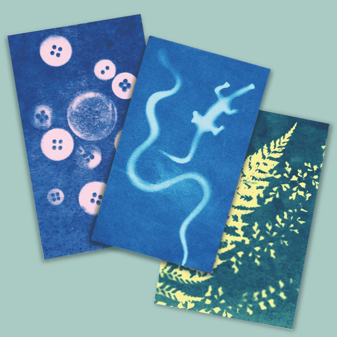 Sunography Colour Cards