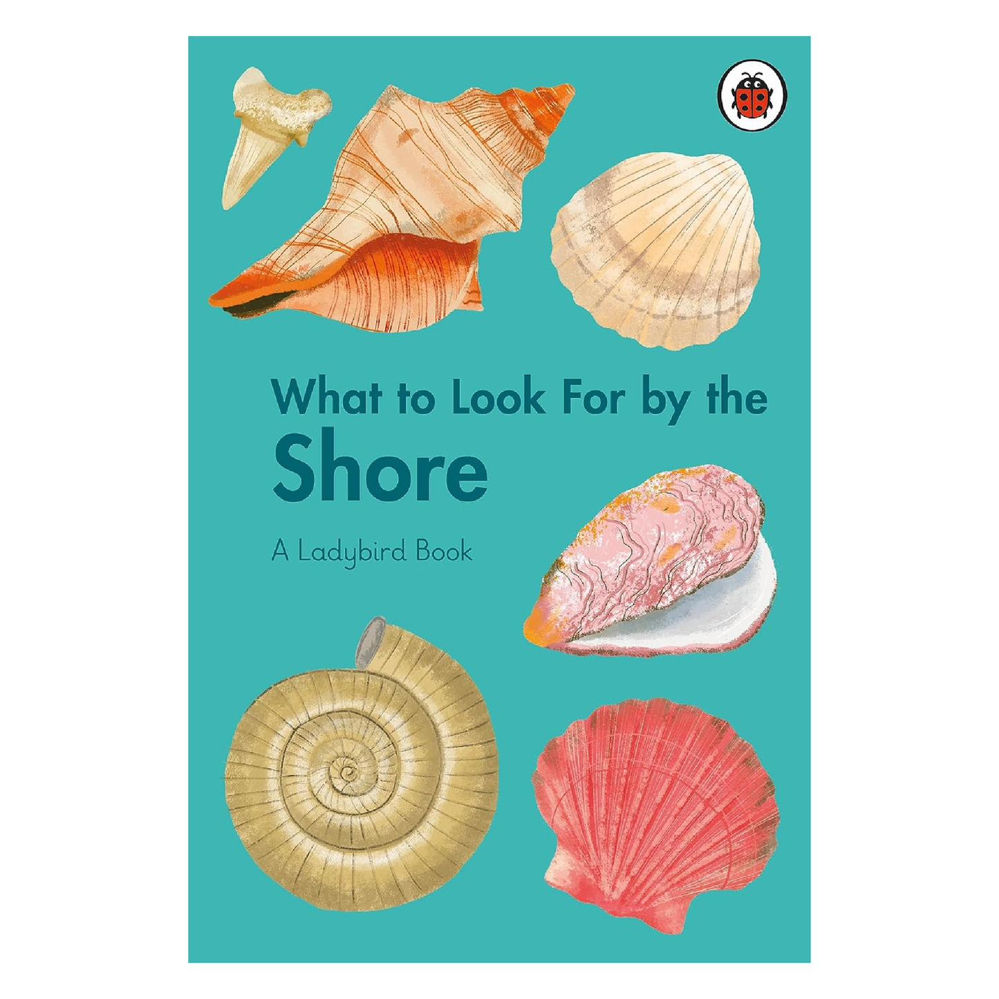 What to Look For by the Shore