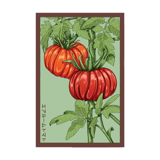 Heirloom Tomato Vegetable Seeds Packet