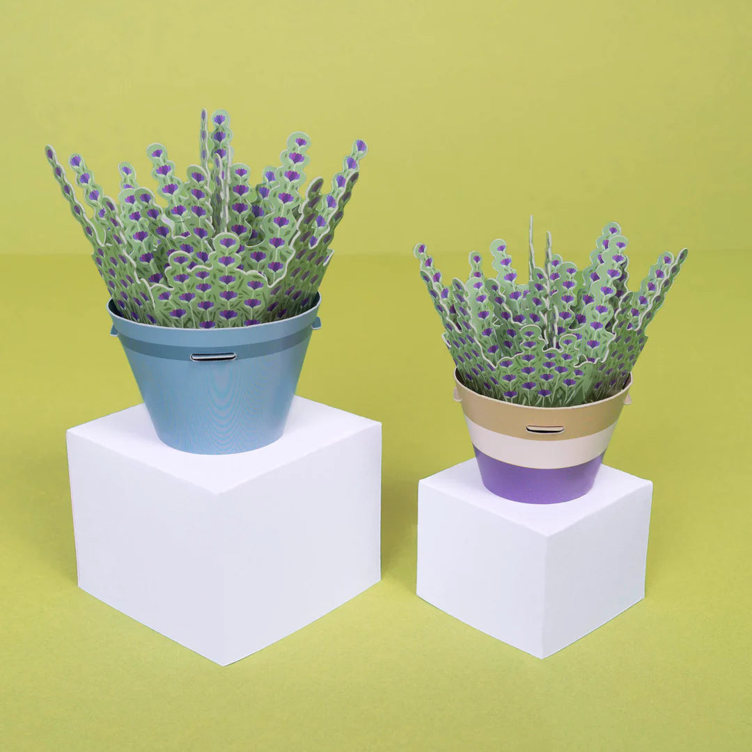 Make Your Own Lavender Paper Plant Kit