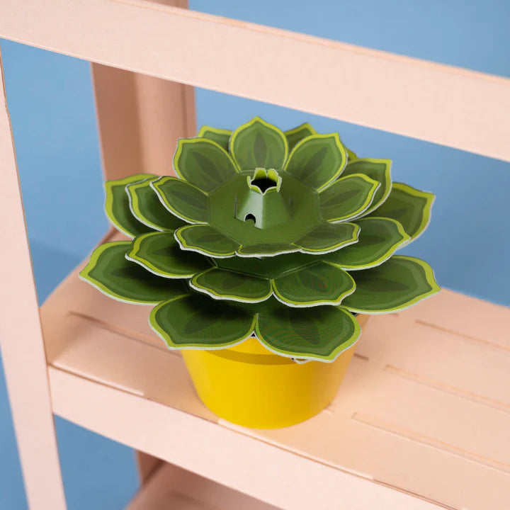 soothing succulent plant Make Your Own Soothing Succulent Paper Plant Kit – Leeds Museums and Galleries Shop