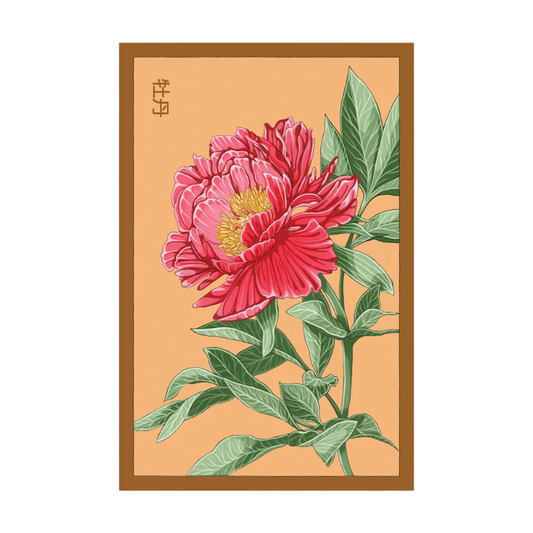 Peony Flower Seeds Packet