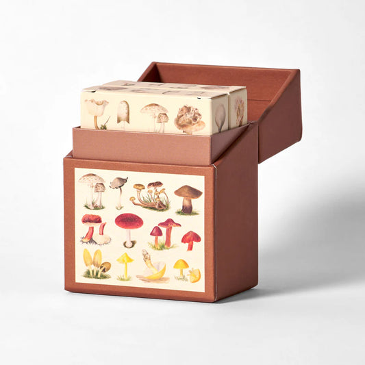 Brown box holding two decks of mushroom illustrations on playing cards on a white background
