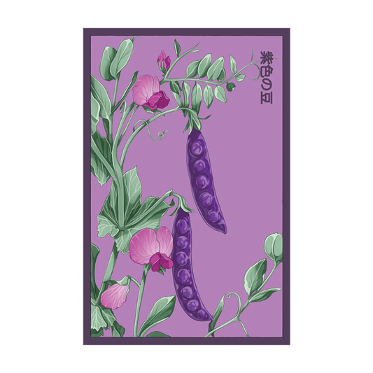 Purple Peas Vegetable Seeds Packet