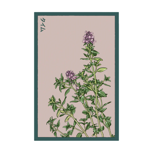 Thyme Herb Seeds Packet
