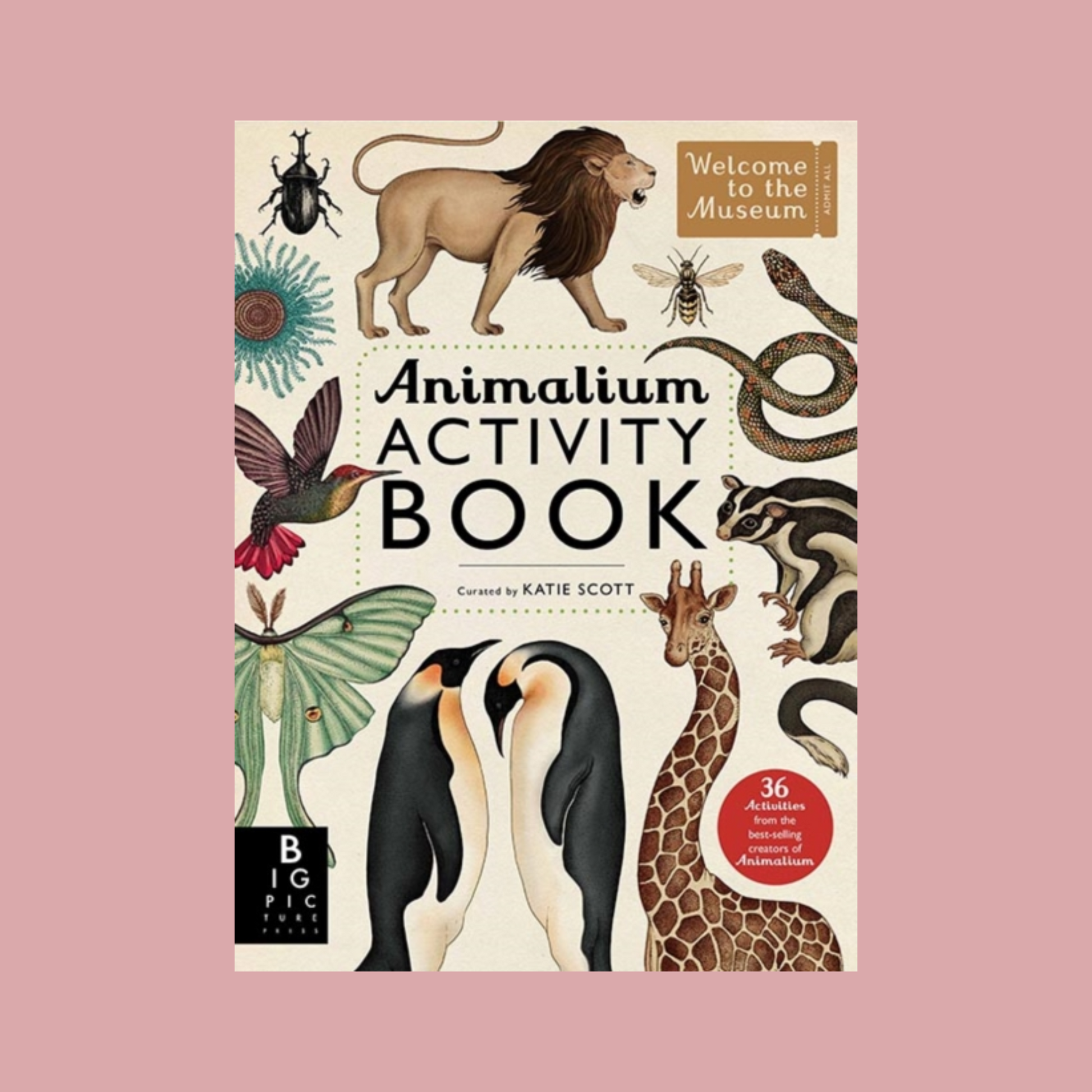 Cover of 'Animalium Activity Book' with illustrations of animals on a pink background