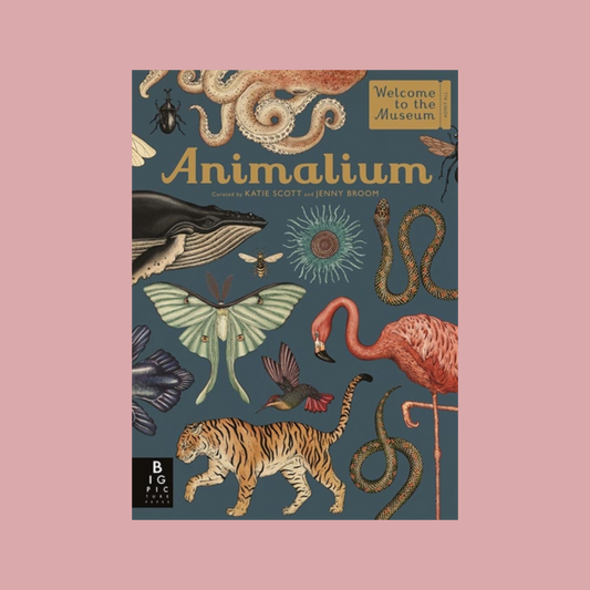 Book cover of 'Animalium' with illustrations of animals on a pink background