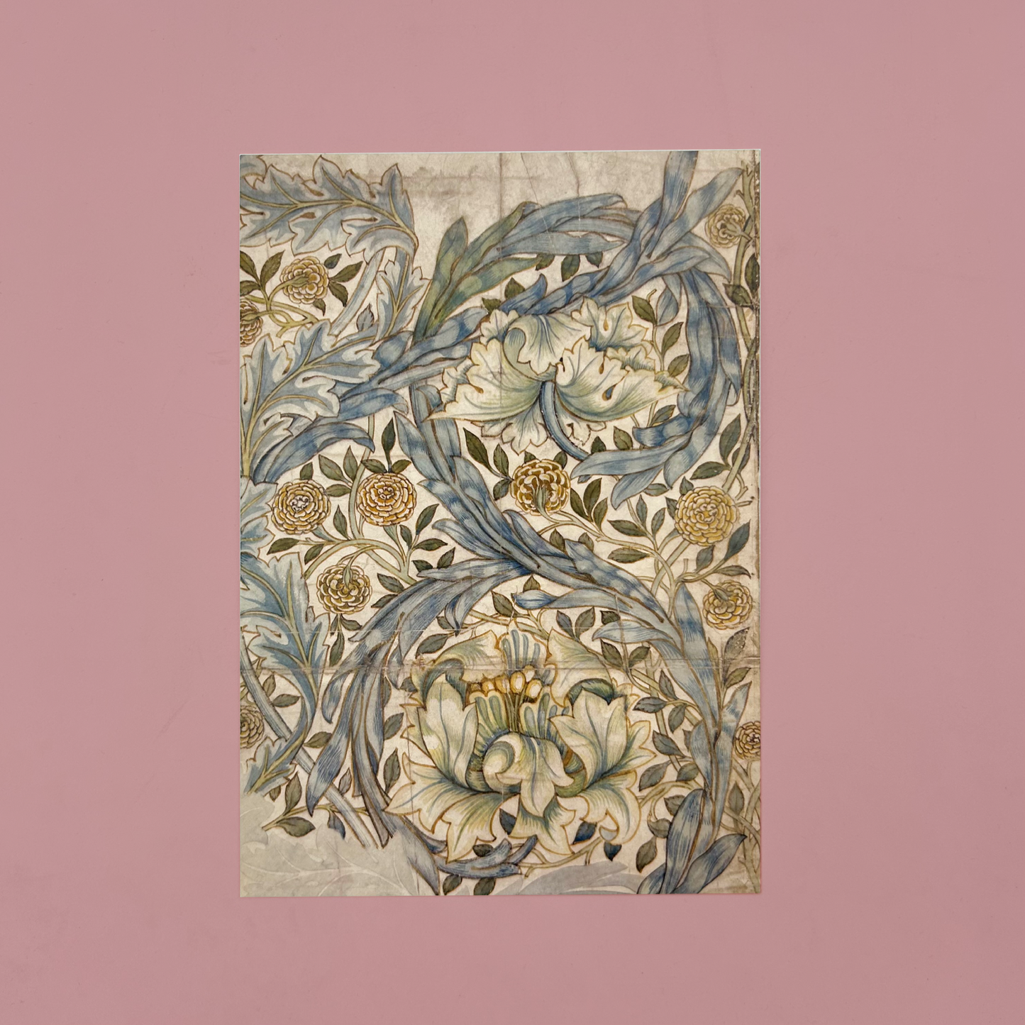 Floral and leaf patternedpostcards by William Morris on a pink background