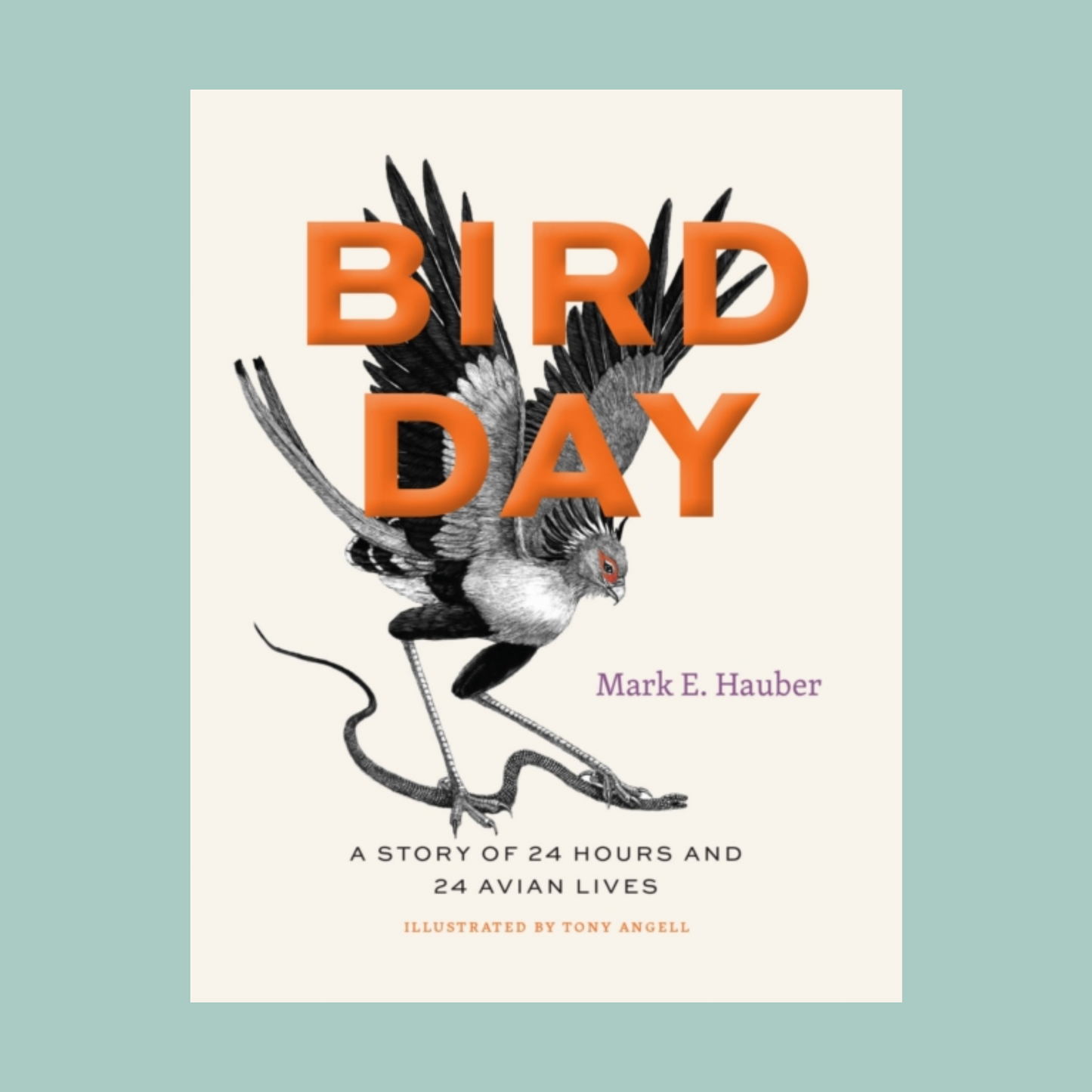 Front cover of 'bird Day' featuring an illustration of a bird and capitalised text in orange on a white background. The book is on a light blue backdrop. 