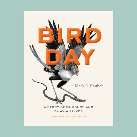 Front cover of 'bird Day' featuring an illustration of a bird and capitalised text in orange on a white background. The book is on a light blue backdrop. 