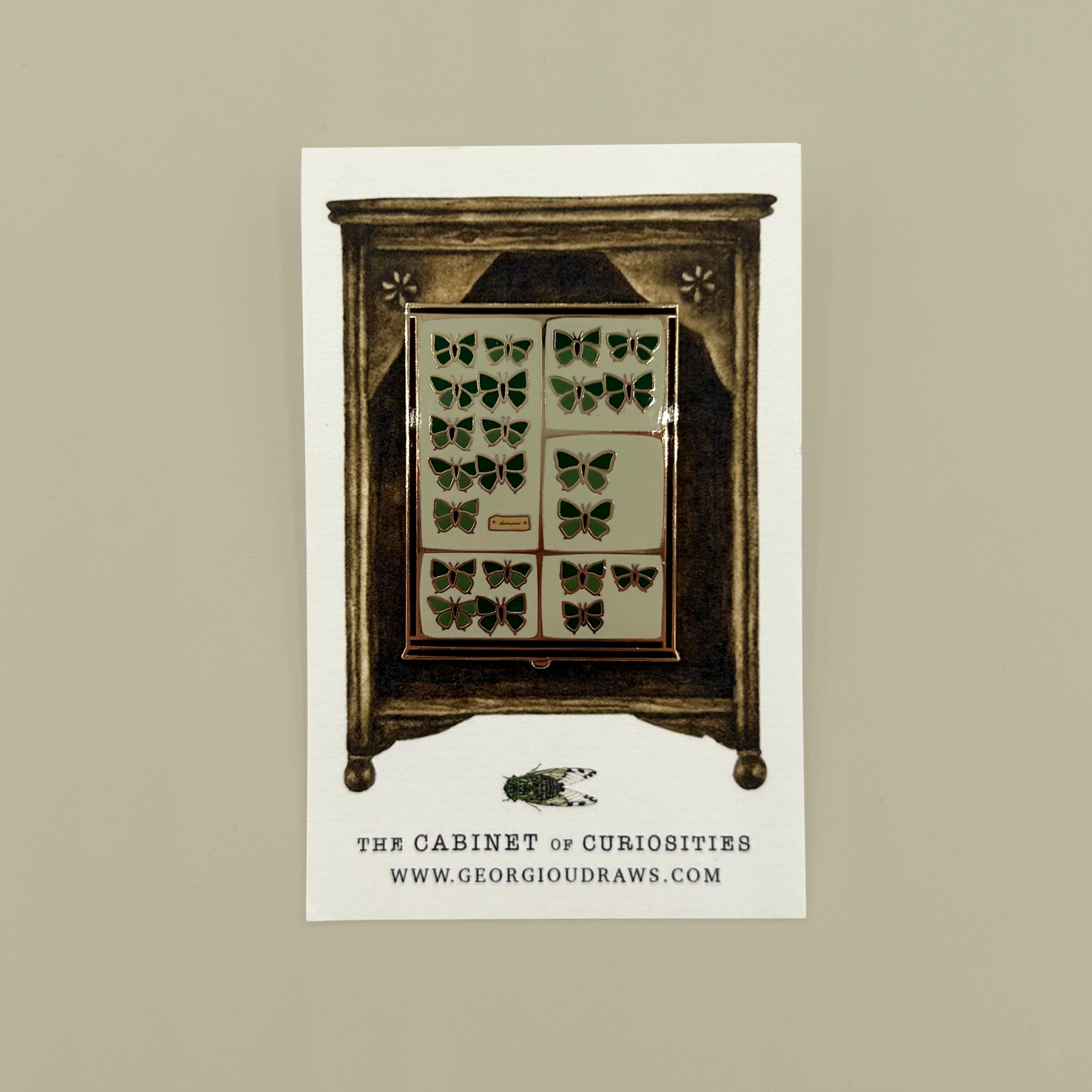 Decorative cabinet with butterfly specimens pin on a beige background