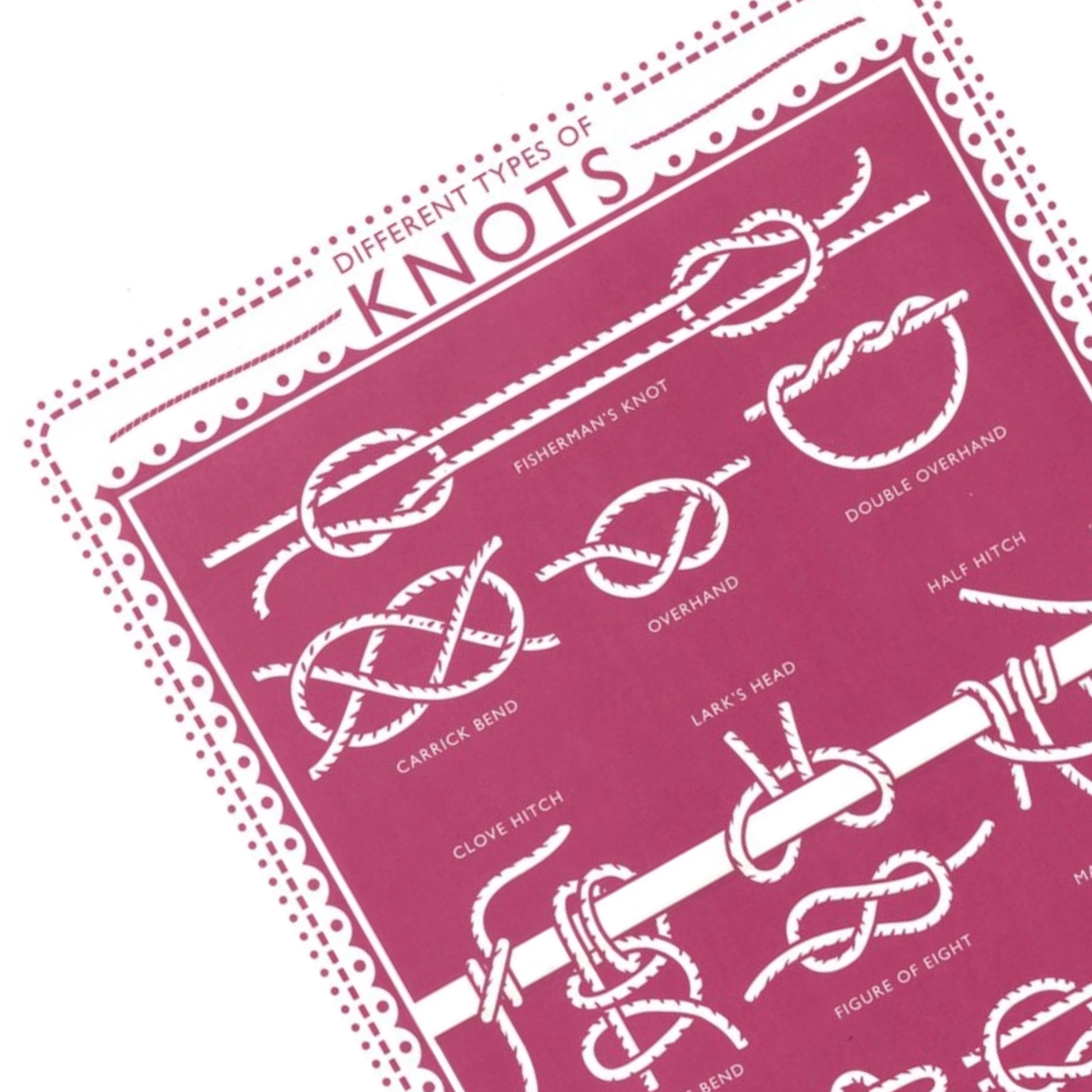 Poster with illustrations of different types of knots on a pink background