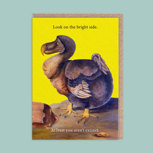 A greeting card featuring a painted dodo bird on a bright yellow background with the text 'Look on the bright side. At least you aren't extinct.