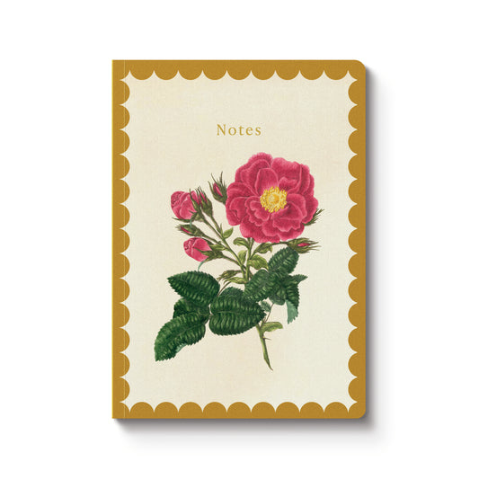A5 Notebook - Drift Rose
