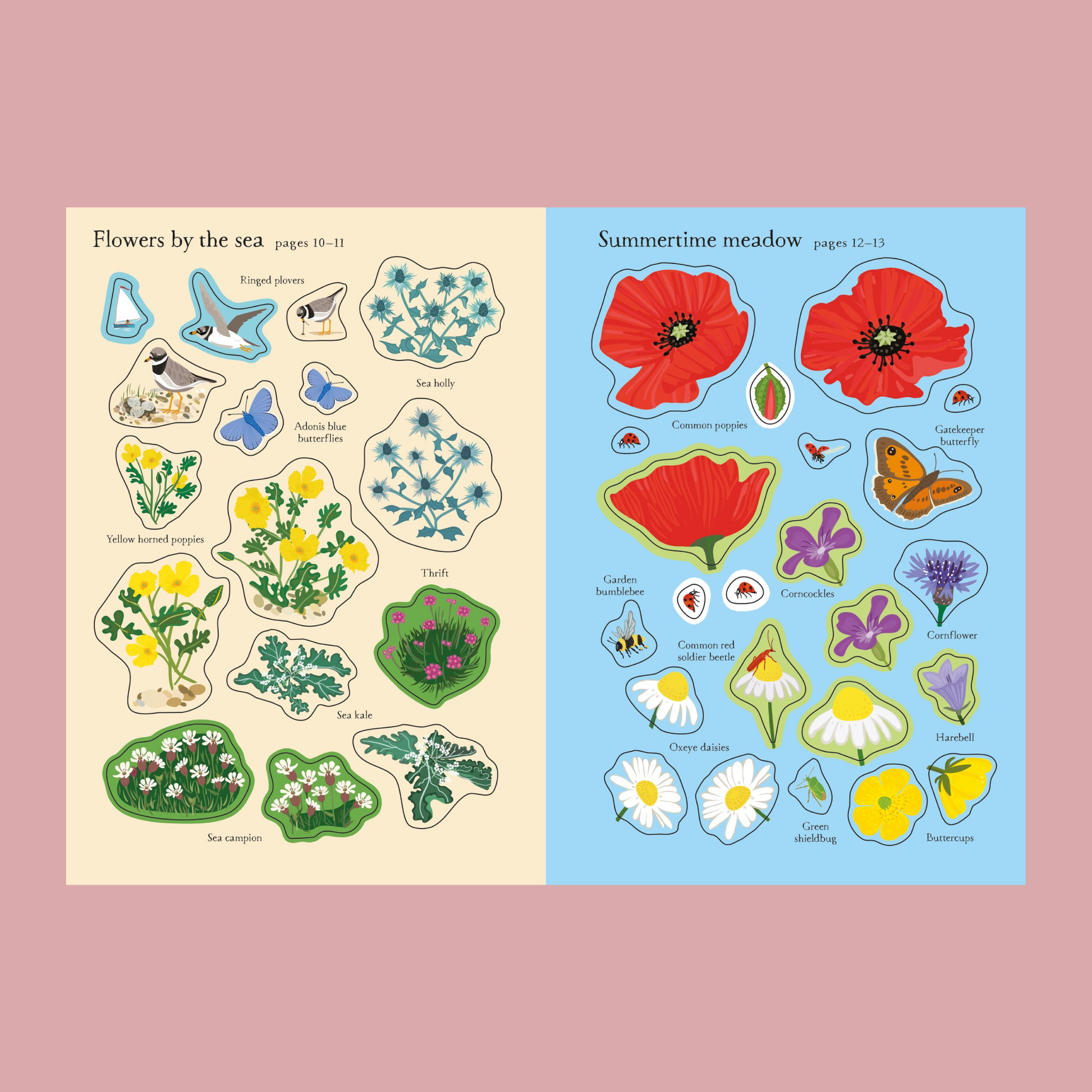 Two sheets of educational stickers featuring flowers by the sea and summertime meadow on a pink background.