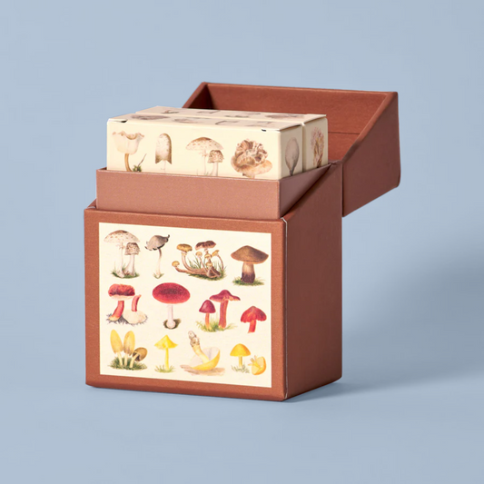 Brown box with mushroom illustrations holding two decks of mushroom inspired playing cards, on a light blue background