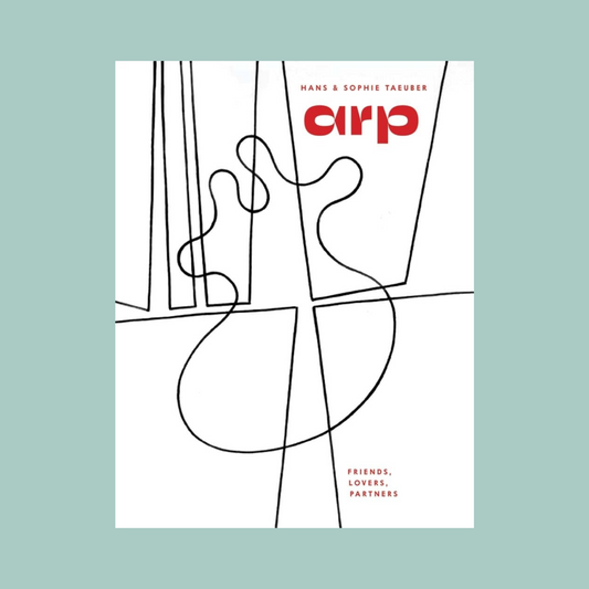 Book cover with abstract line art and 'CIRP' text on a light blue background