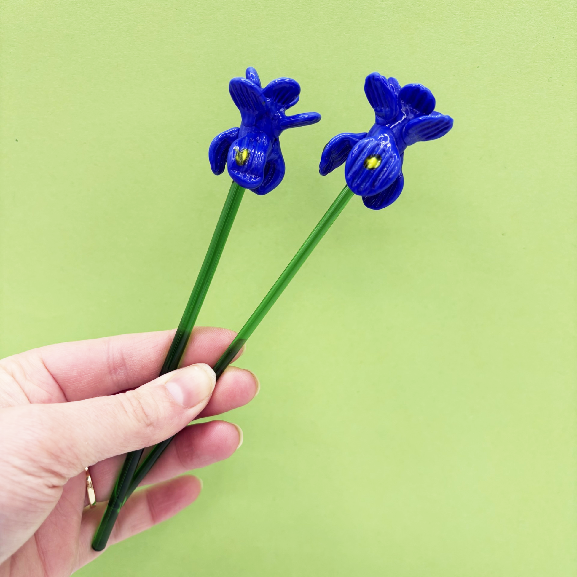 Hand holding two blue flower-shaped objects against a green background