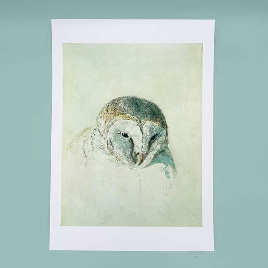 Art print of an owl on a light green background