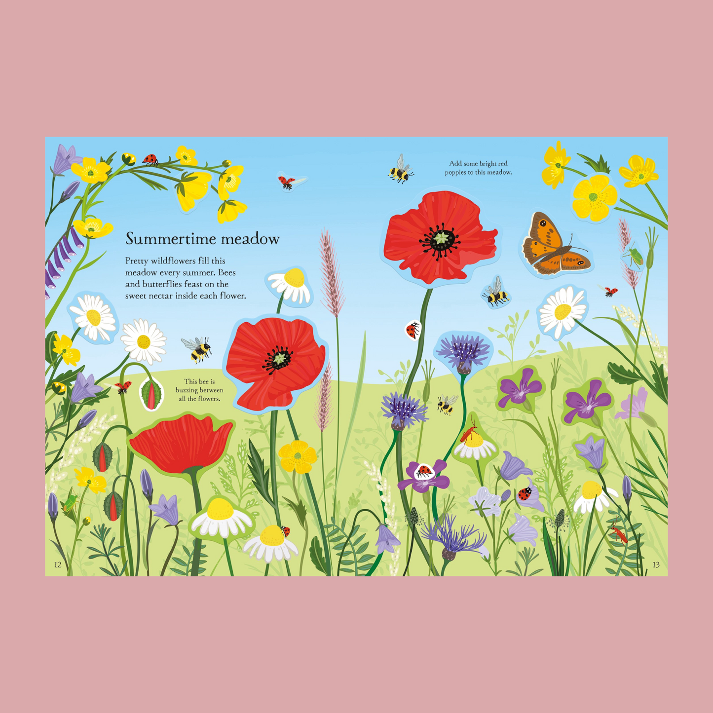 Illustration of a summertime meadow with flowers and insects on a pink background