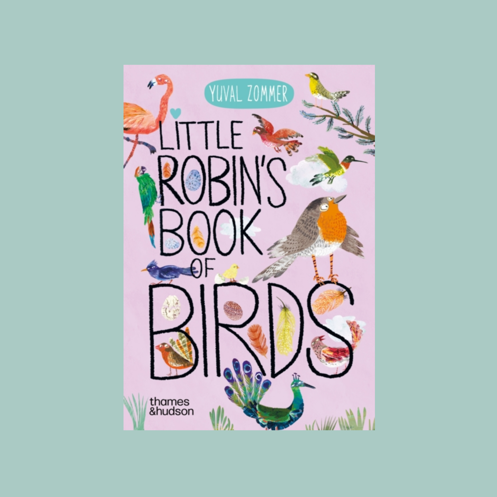 Book cover of 'Little Robin's Book of Birds' with illustrations of birds on a pink background