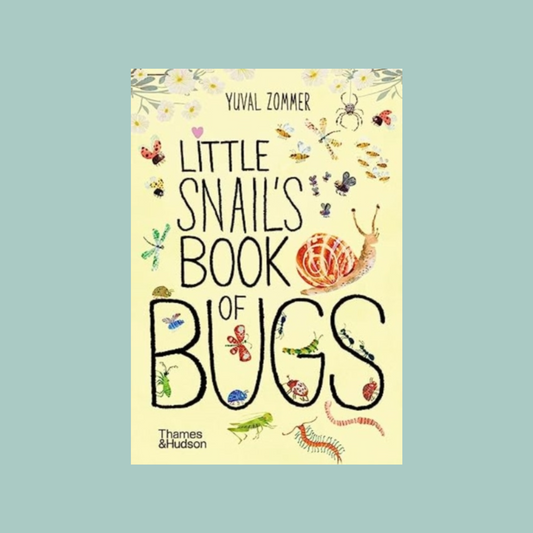 Book cover of 'Little Snail's Book of Bugs' with illustrations on a light blue background