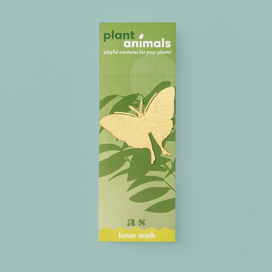 Brass moth-shaped decoration with pointed ends, on a green backing card.