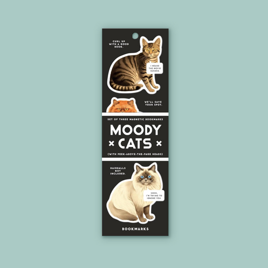 A tall black card featuring cat illustration magnets and the text 'MOODY CATS' on a pale blue background.