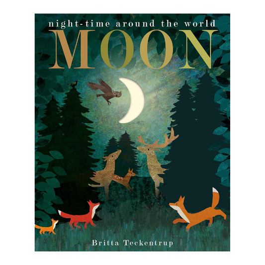 Moon: Night Time Around the World