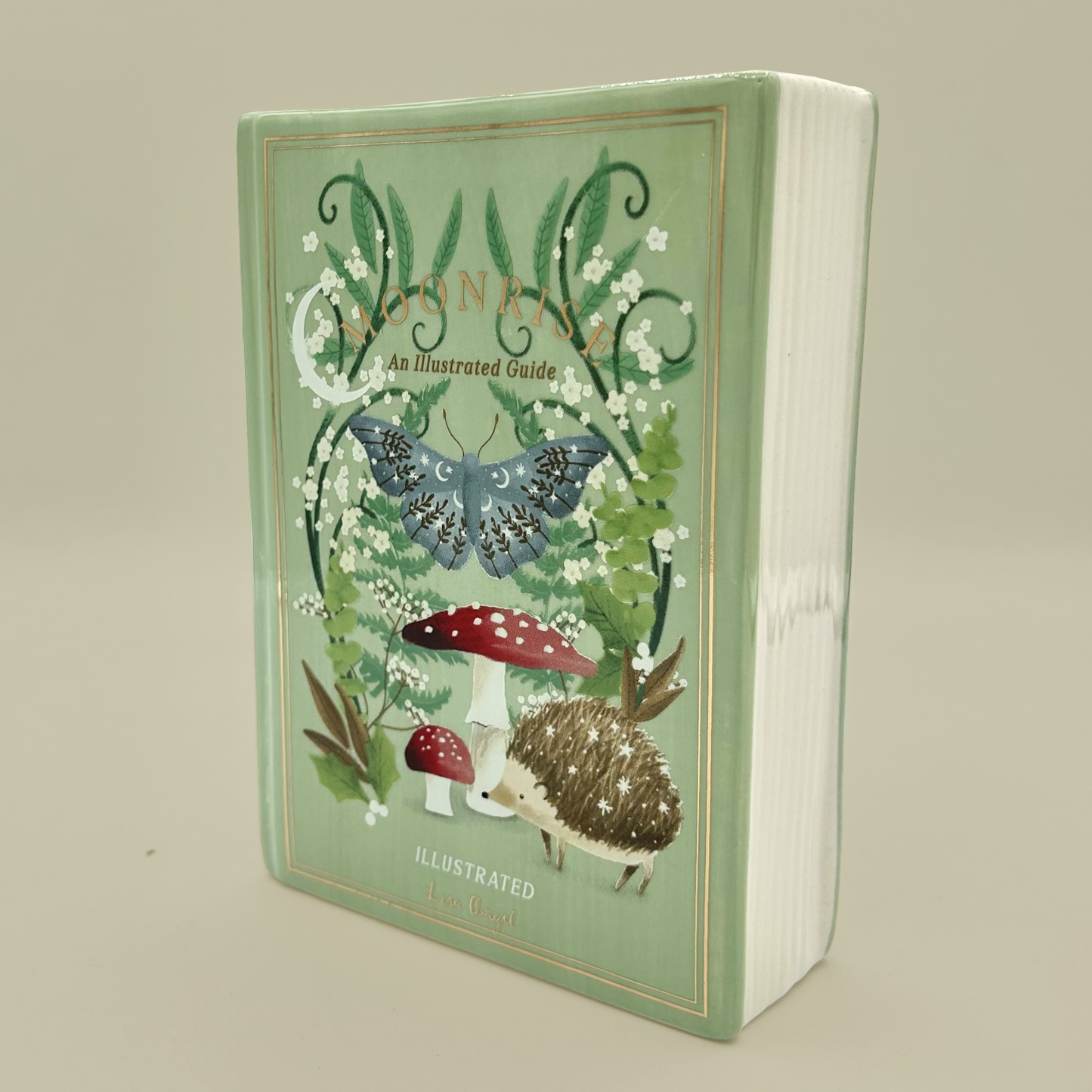 Book shaped vase with nature-themed cover featuring a butterfly, mushroom, and hedgehog on a beige background
