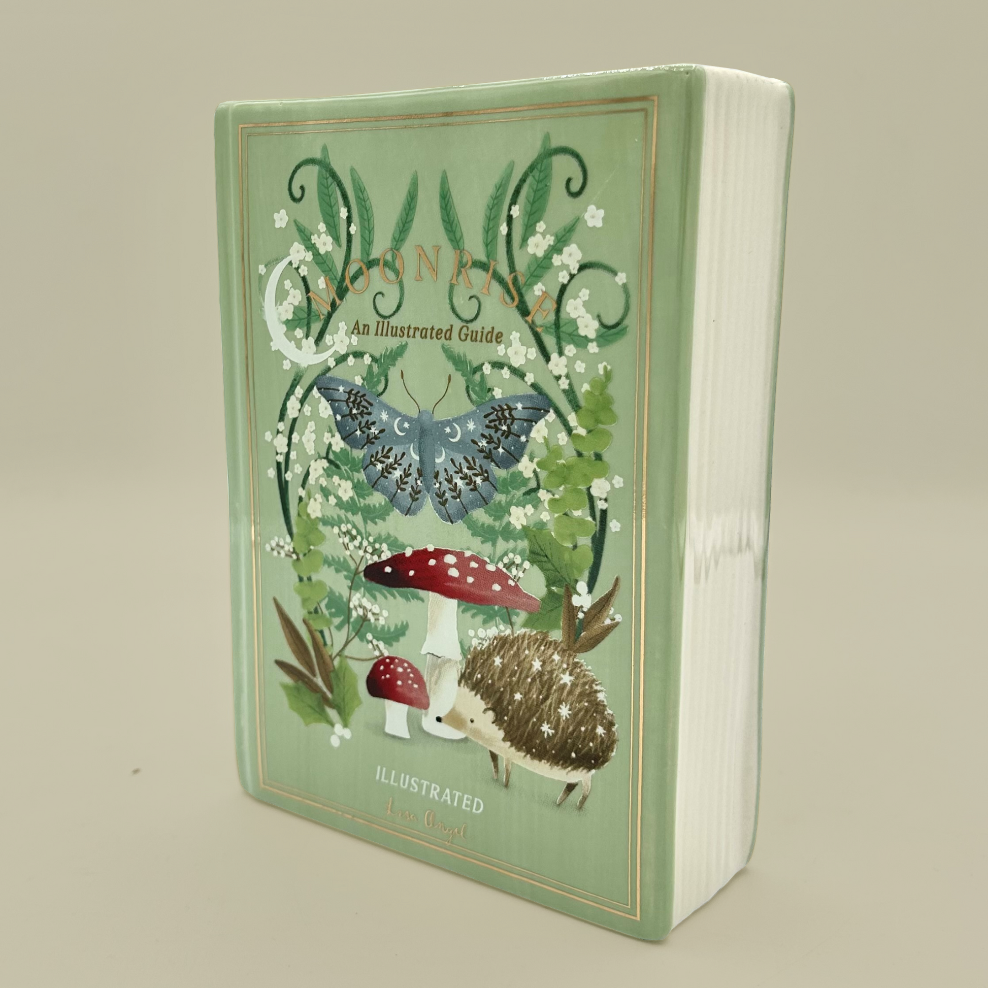 Book shaped vase with nature-themed cover featuring a butterfly, mushroom, and hedgehog on a beige background