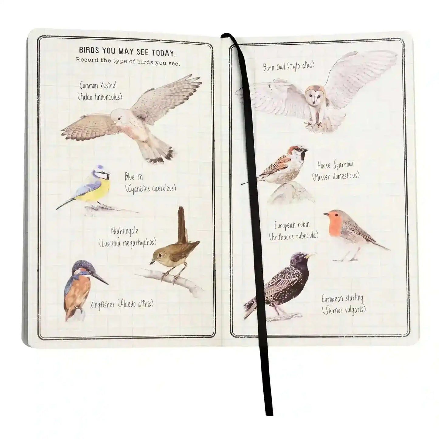 Children's Journal - Nature Trail