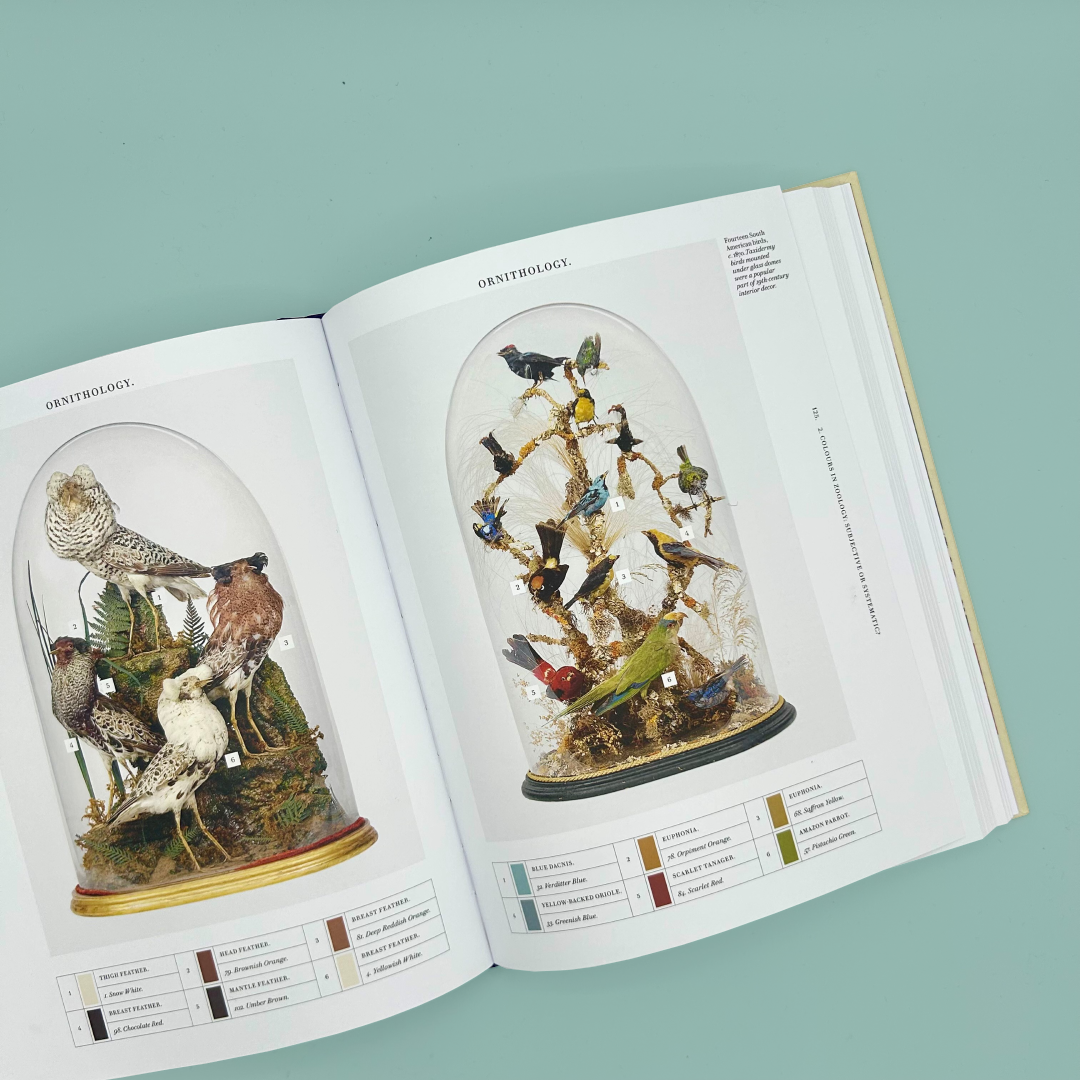 Open book showing a display of taxidermy birds under a glass dome on a light blue background.