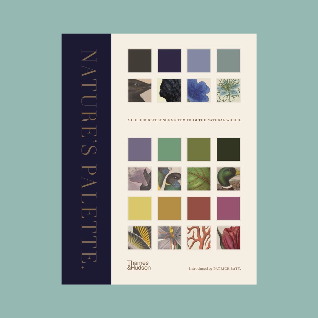 Book cover of 'Nature's Palette' with color swatches on a teal background
